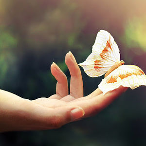 Meet your Posher, Michelle